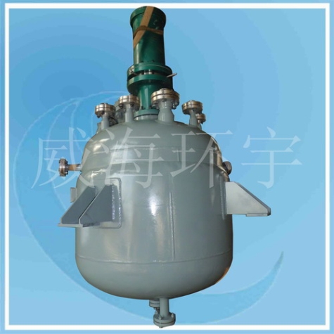 SS304 Cladding Plate Reactor 